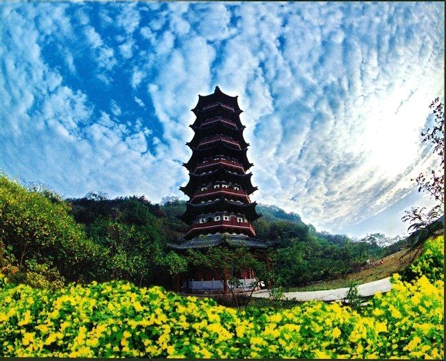 201705251495697275890665.jpg 2014070417573214.jpg